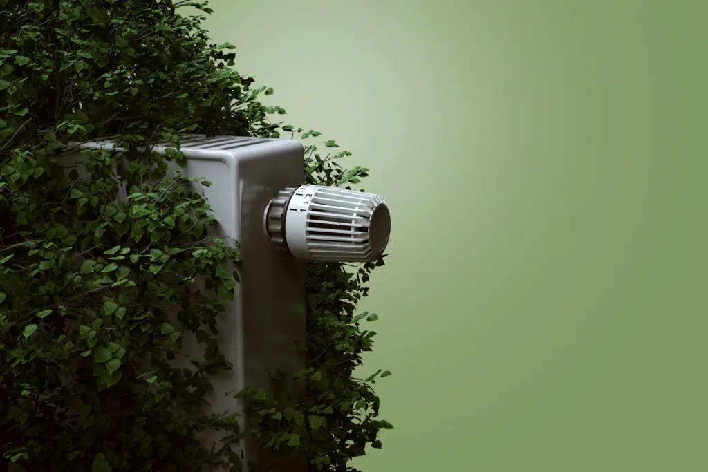 Blog Energetische Sanierung mit Holz: So sparen Sie Heizkosten